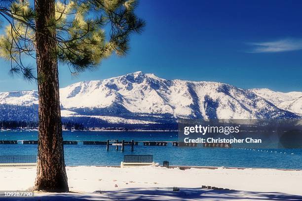lake tahoe - lake tahoe stock pictures, royalty-free photos & images