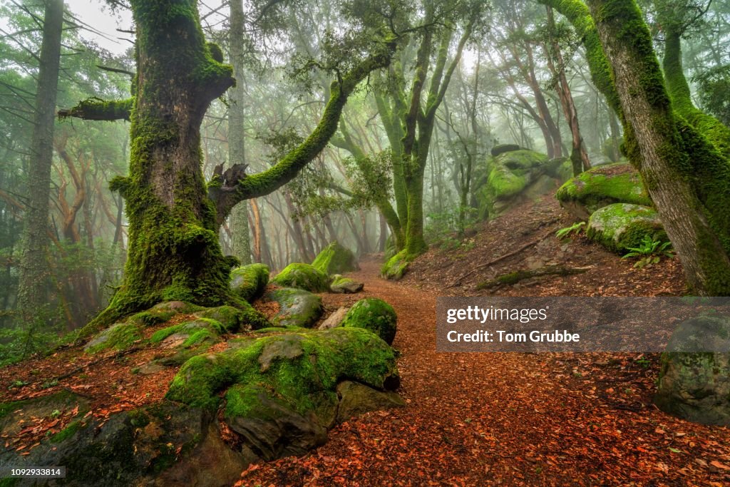 Indian Rock Trail