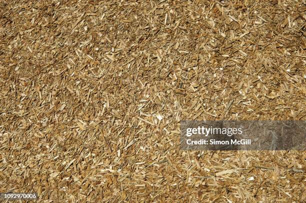 fine wood chips used as mulch in landscaping garden beds - segatura foto e immagini stock