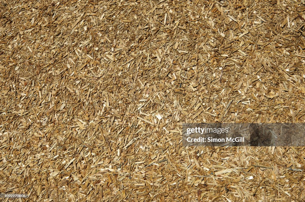 Fine wood chips used as mulch in landscaping garden beds