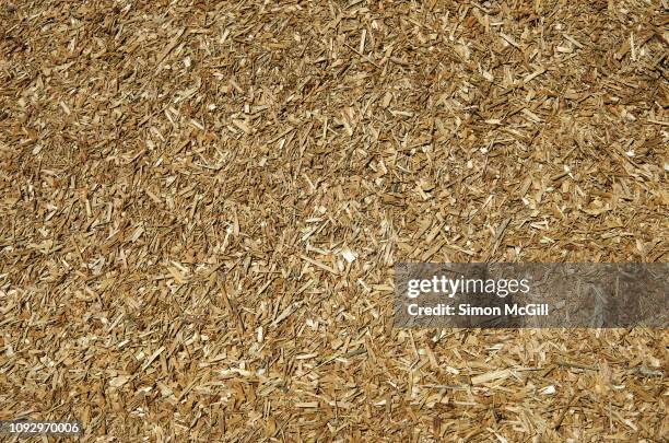 fine wood chips used as mulch in landscaping garden beds - sawdust stock pictures, royalty-free photos & images