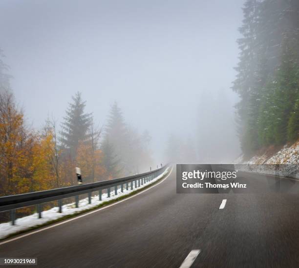 driving through a forest in snowy conditions - driving in fog stock pictures, royalty-free photos & images