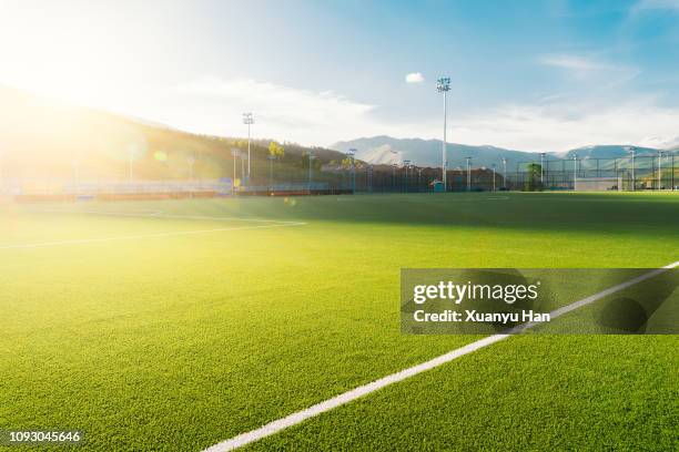 sunny football field - football field bildbanksfoton och bilder