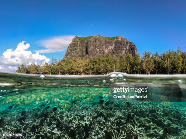 geweldige kust aan de indische oceaan in mauritius eiland - mauritius stockfoto's en -beelden