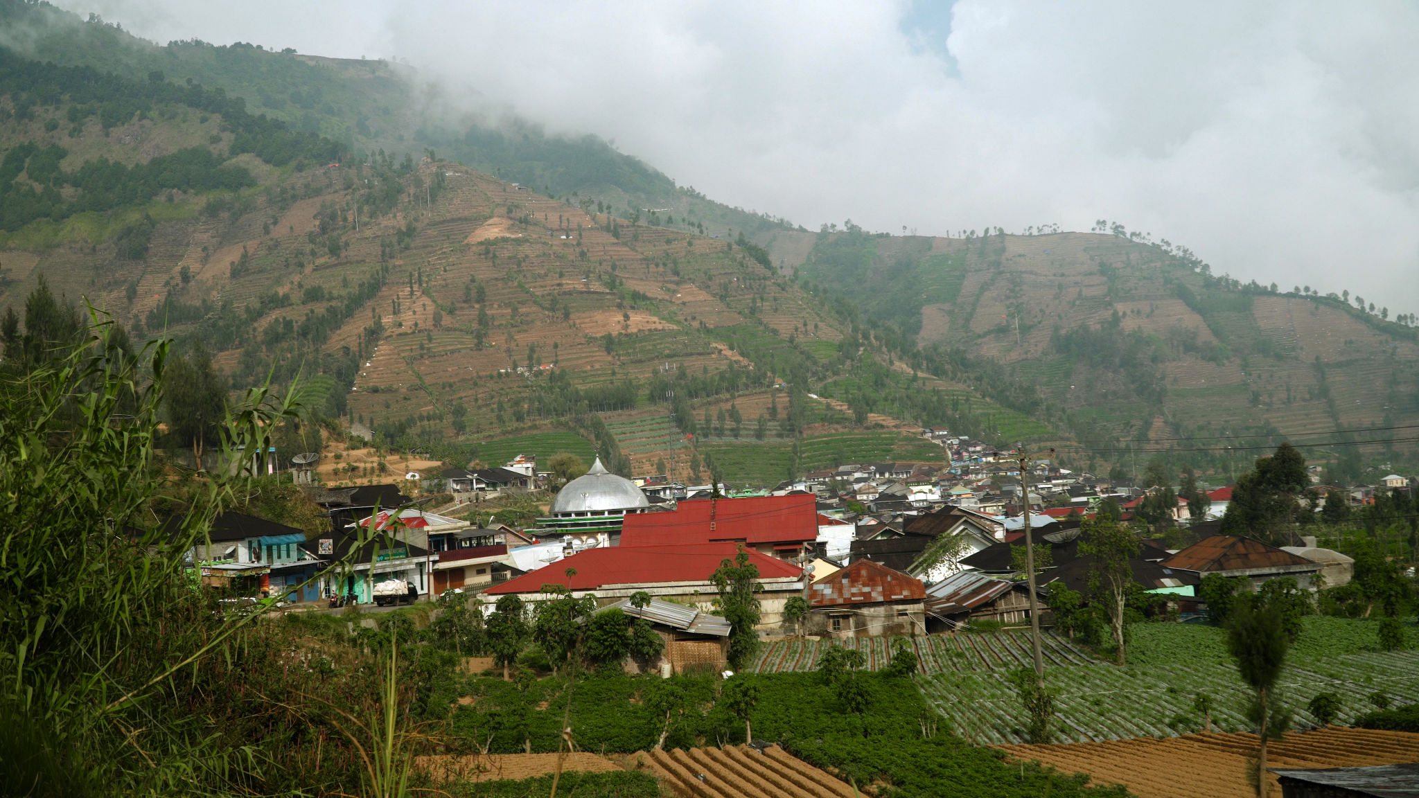 desa jagoan tour