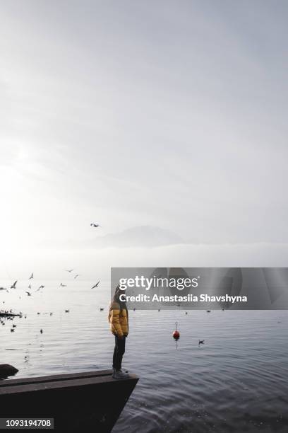 frau, genießen den blick auf die schweizer alpen, den genfer see und fliegende vögel in montreux - kanton waadt stock-fotos und bilder