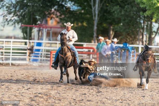 Caballo Rodeo Power Horse Stadium Fotografías e imágenes de stock - Getty Images