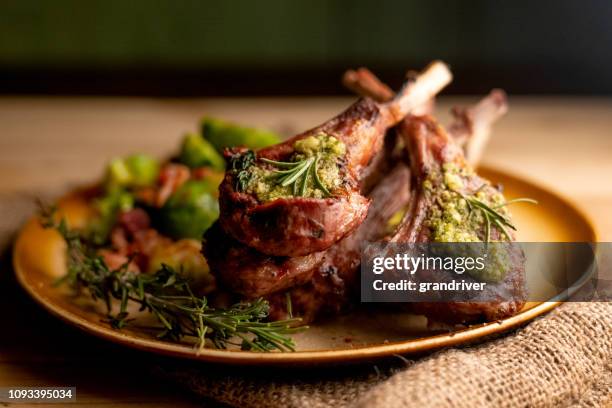 grilled new zealand lamb chops plated with sauteed brussel sprouts - stoneware stock pictures, royalty-free photos & images