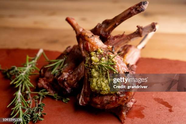 gourmet gegrillte lammkoteletts mit rosmarin und pesto-sauce - lammkoteletts stock-fotos und bilder