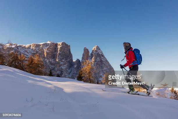 arrière pays ski de randonnée autour de sciliar montagnes, dolomites, italie - sport d'hiver photos et images de collection