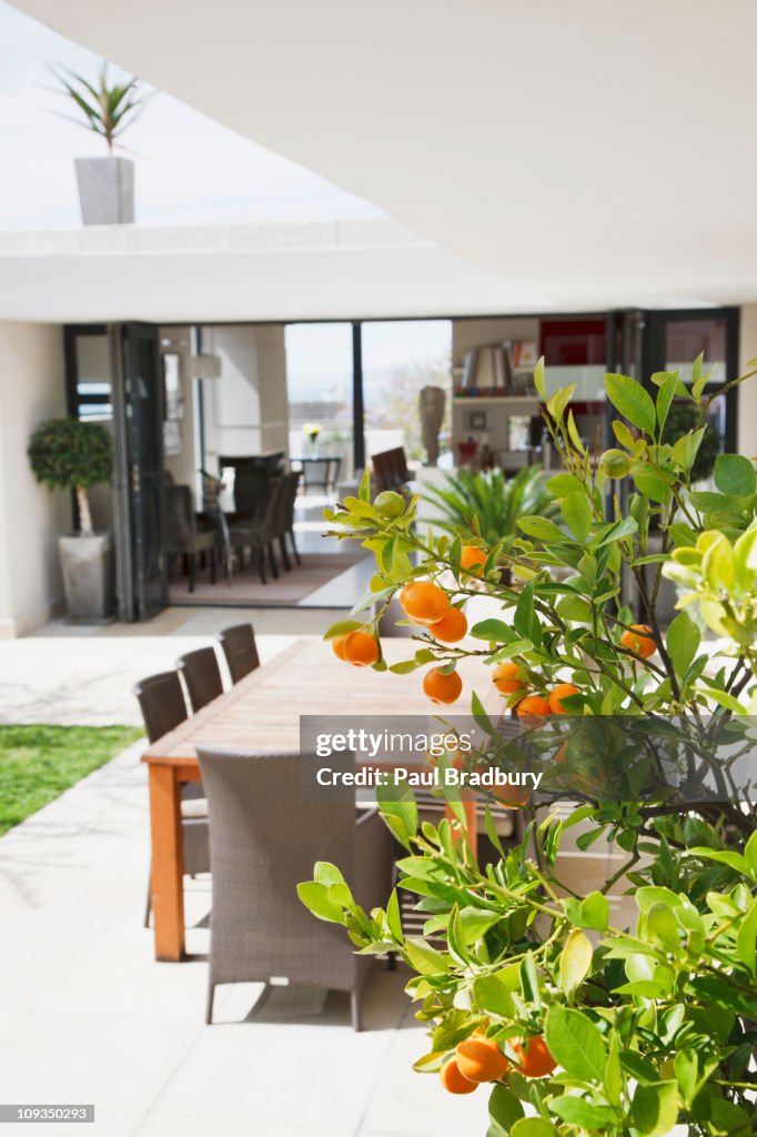 Sala da pranzo sul patio moderno