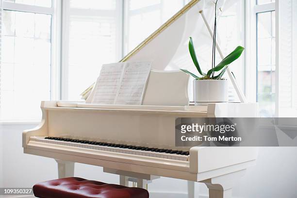 white grand piano - piano stock pictures, royalty-free photos & images