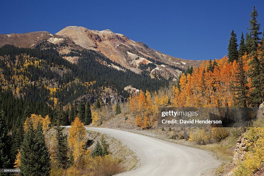 Mountain and autumn leaves on trees on hillside, Silverton, Colorado, United States