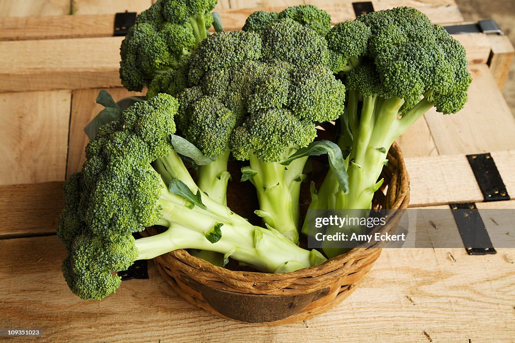 Heads of broccoli in basket