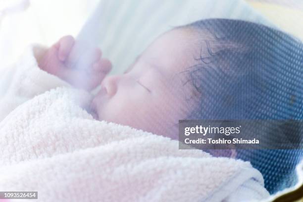 a sleeping baby - mosquito netting stock pictures, royalty-free photos & images