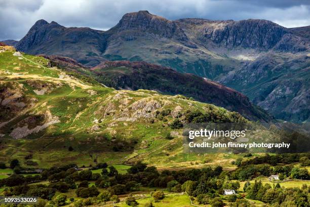 lingmoor fell and the the langdale pikes, taken from black fell, lake district, uk. - lingmoor fell stock pictures, royalty-free photos & images