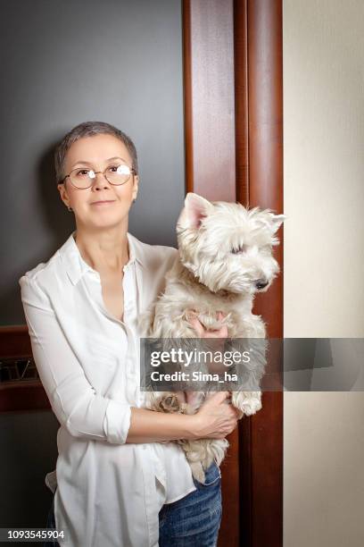 reife frau mit hund - west highland white terrier stock-fotos und bilder