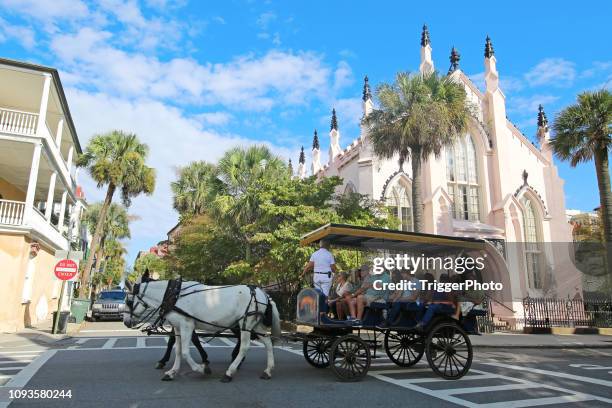 charleston south carolina horse drawn carriage ride - charleston south carolina stock pictures, royalty-free photos & images