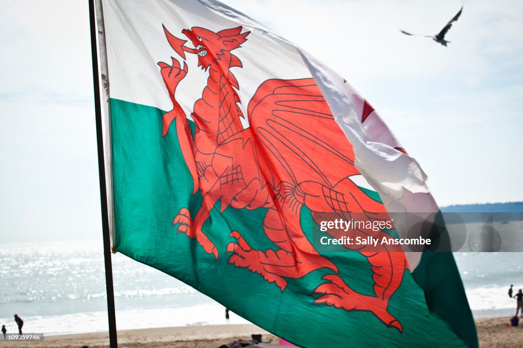 Welsh Flag