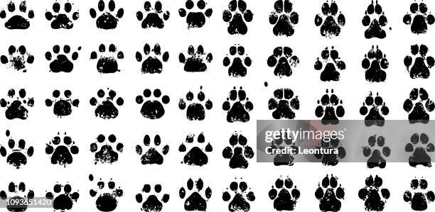 illustrazioni stock, clip art, cartoni animati e icone di tendenza di impronte di zampe - animal print