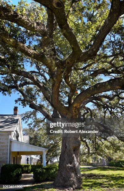 The Texas home of former U.S. President Lyndon B. Johnson and his wife, Lady Bird, is the focal point of the Lyndon B. Johnson National Historic Park...