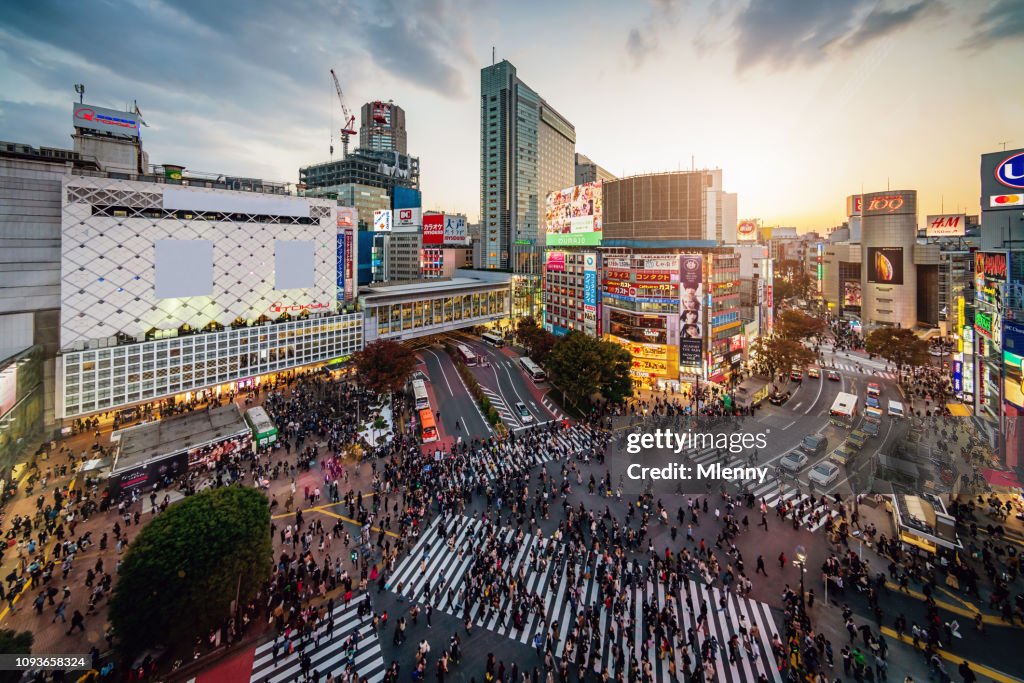 Aerial View Shibuya Crossing Tokyo Japan