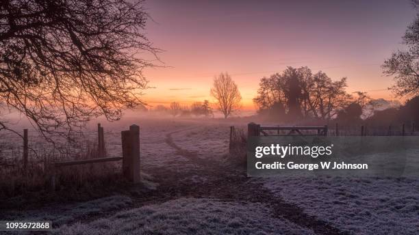 cold dawn sunrise - essex stockfoto's en -beelden