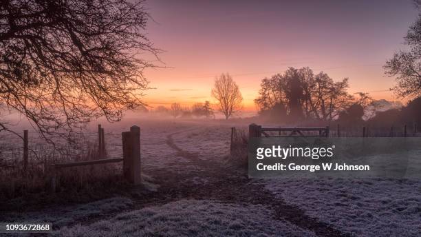 cold dawn sunrise - winter stock pictures, royalty-free photos & images