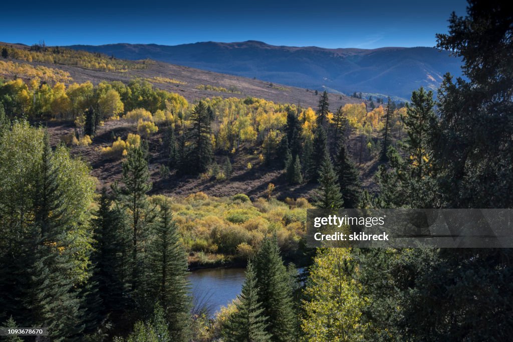 Autumn Colors at the Blue River in Summit County, Colorado