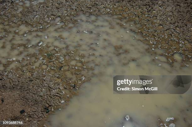 Puddle Accumulation Example 1 621 Mud Puddle Texture Stock Photos, High-Res Pictures, and Images ...