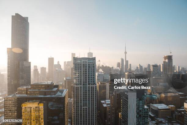 toronto skyline morning - day toronto stockfoto's en -beelden