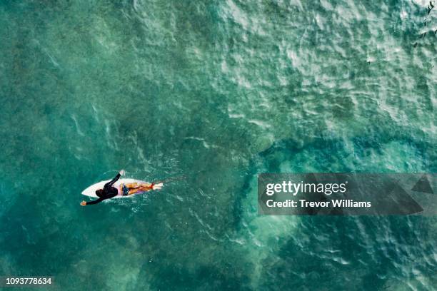 Directly above of a mature woman on a surfboard paddling out to the waves while surfing