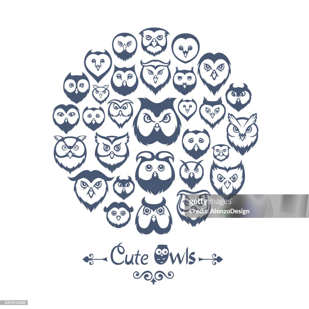 Owls Collage