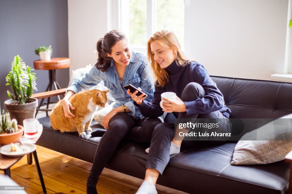Female friends with cat using smart phone