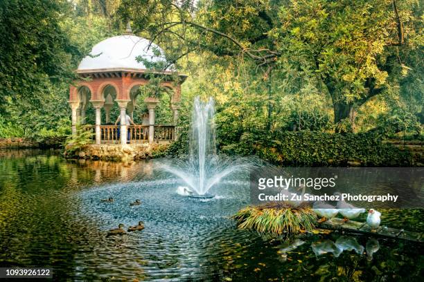 seville garden - seville spain stock pictures, royalty-free photos & images