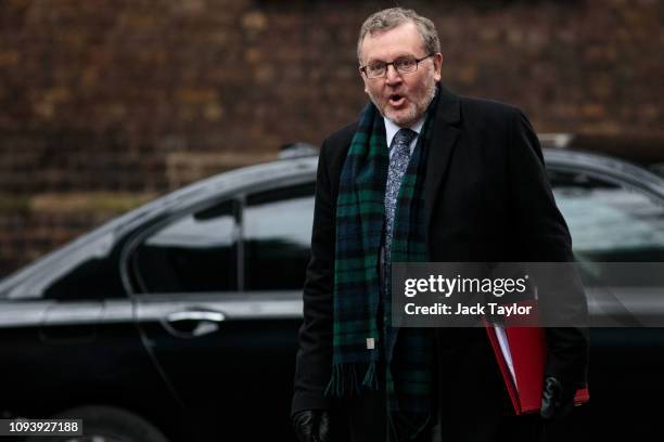 Scotland Secretary David Mundell arrives for the weekly Cabinet meeting at Number 10 Downing Street on February 5, 2019 in London, England. British...