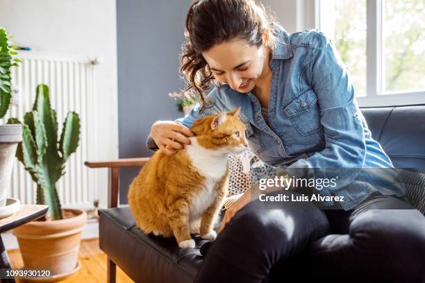 woman playing with her cat at home - haustier stock-fotos und bilder