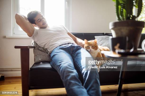 man sitting on sofa caressing his pet cat - tshirt jeans stockfoto's en -beelden