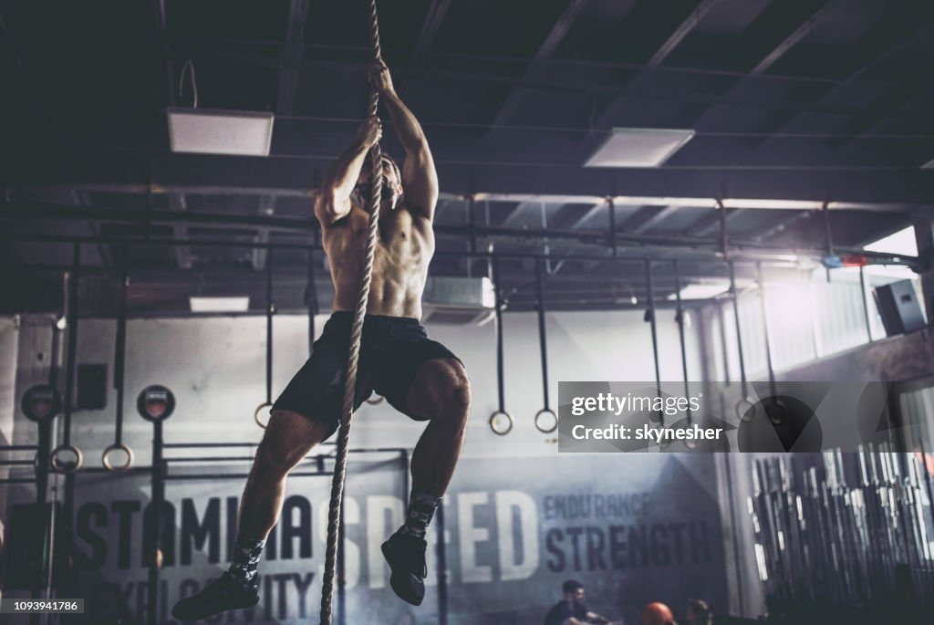 Muscular build athlete climbing up the rope in a gym.