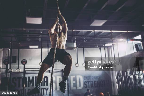 muskulös bygga idrottsman klättra upp repet i ett gym. - male body builder bildbanksfoton och bilder