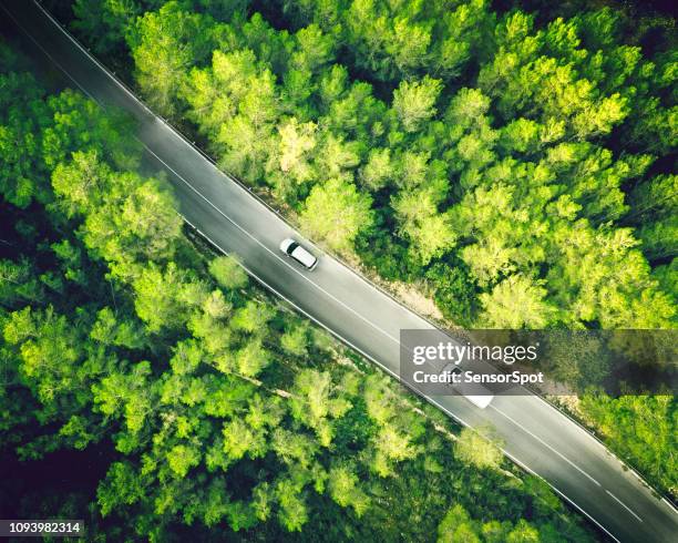 flygfoto över en två raka körfält i en skog med en vit bil och van - car and van bildbanksfoton och bilder