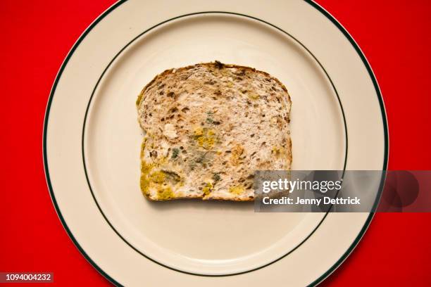 mould on bread - moldy bread stock pictures, royalty-free photos & images