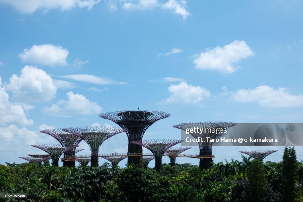 Garden By The Bay in Singapore