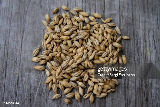 malted barley - barley stock pictures, royalty-free photos & images