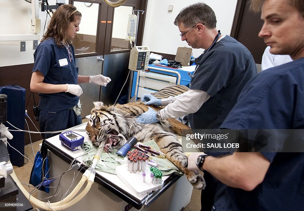 Veterinary technicians Jessica Sosa (L)