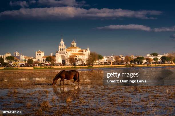 village of el rocio, huelva province, andalucia, spain - parque nacional de donana stock pictures, royalty-free photos & images