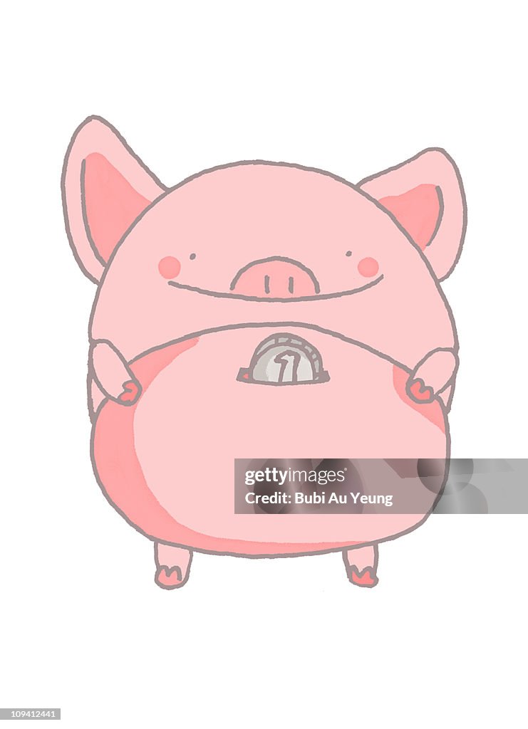 The Year of Pig