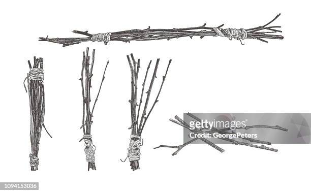 bundles of twigs wrapped with raffia - twig stock illustrations