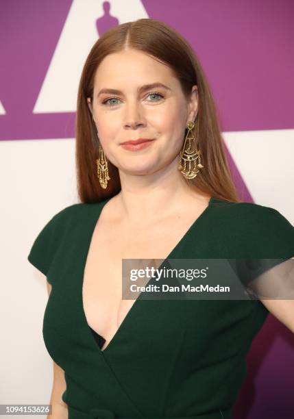 Amy Adams attends the 91st Oscars Nominees Luncheon at The Beverly Hilton Hotel on February 4, 2019 in Beverly Hills, California.