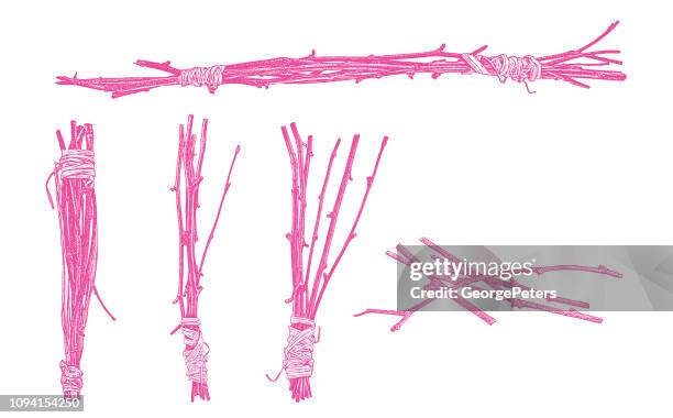 bundles of twigs wrapped with raffia - raffia stock illustrations